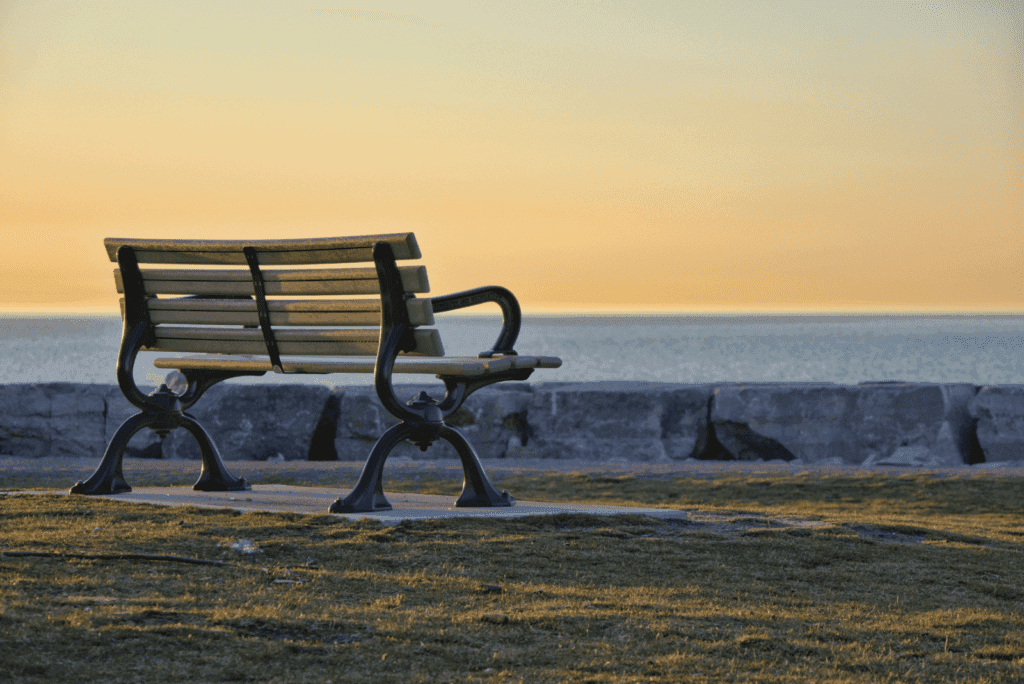 Bench on shore of lake. 